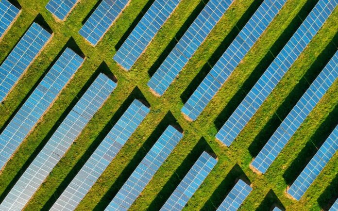 Why Sustainability Drives Long-Term Business Success