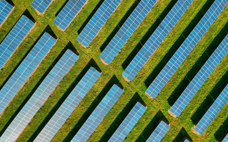Why Sustainability Drives Long-Term Business Success